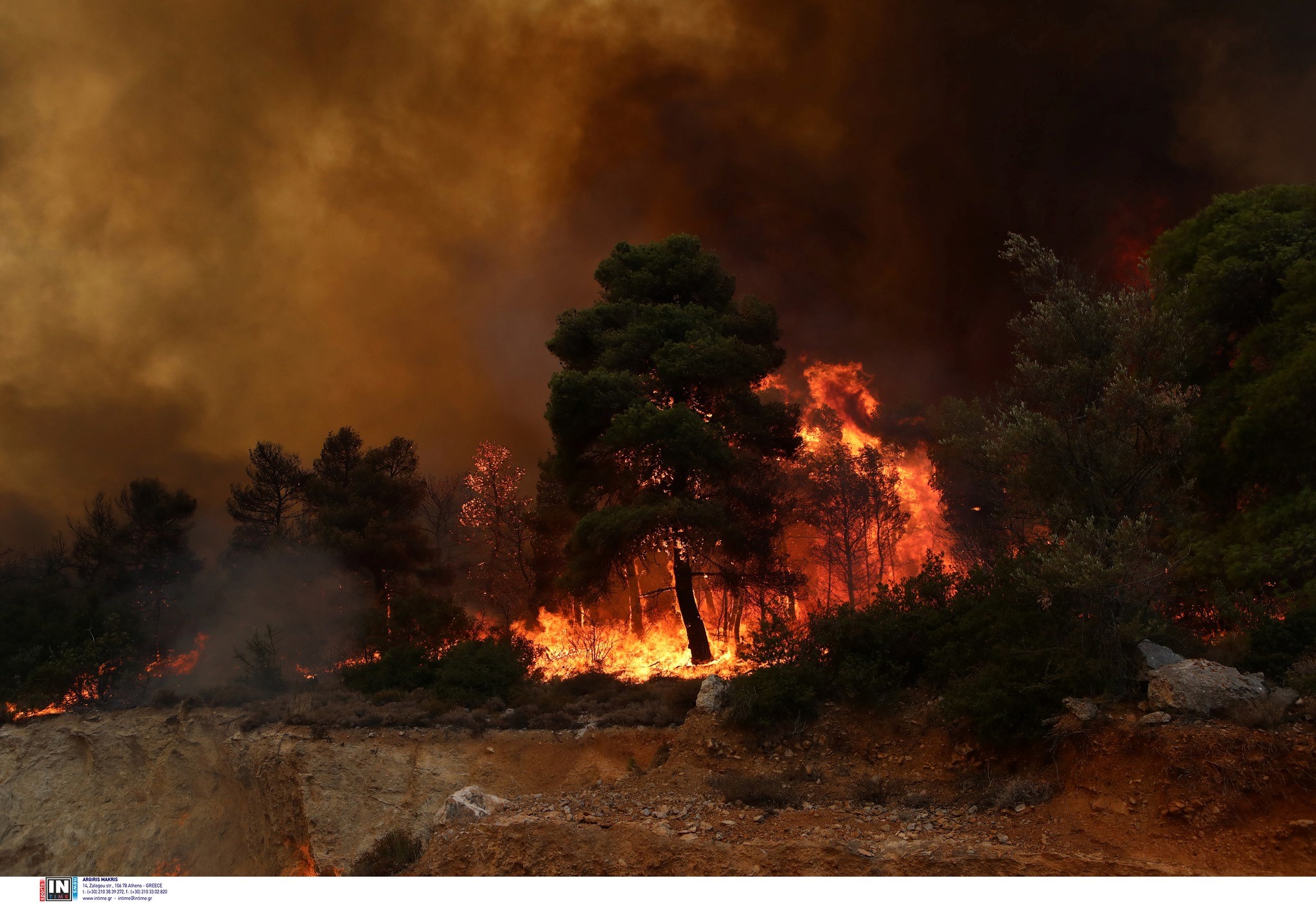 Σε ύφεση η φωτιά στον Εβρο